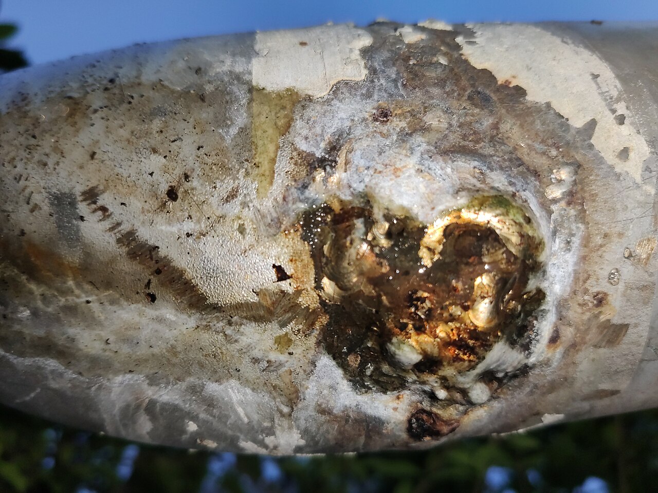 Water droplet leaking from a pipe, leak detection theme