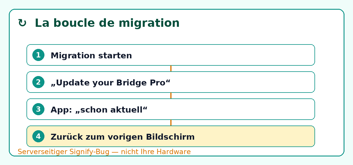 Die Migrationsschleife der Hue Bridge Pro: Migration starten, „Update your Bridge Pro“, App meldet „schon aktuell“, zurück zum vorigen Bildschirm