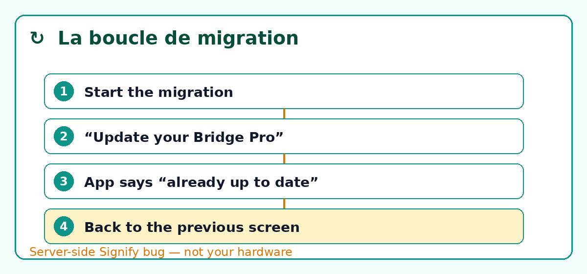 The Hue Bridge Pro migration loop: start the migration, “Update your Bridge Pro”, the app says “already up to date”, back to the previous screen
