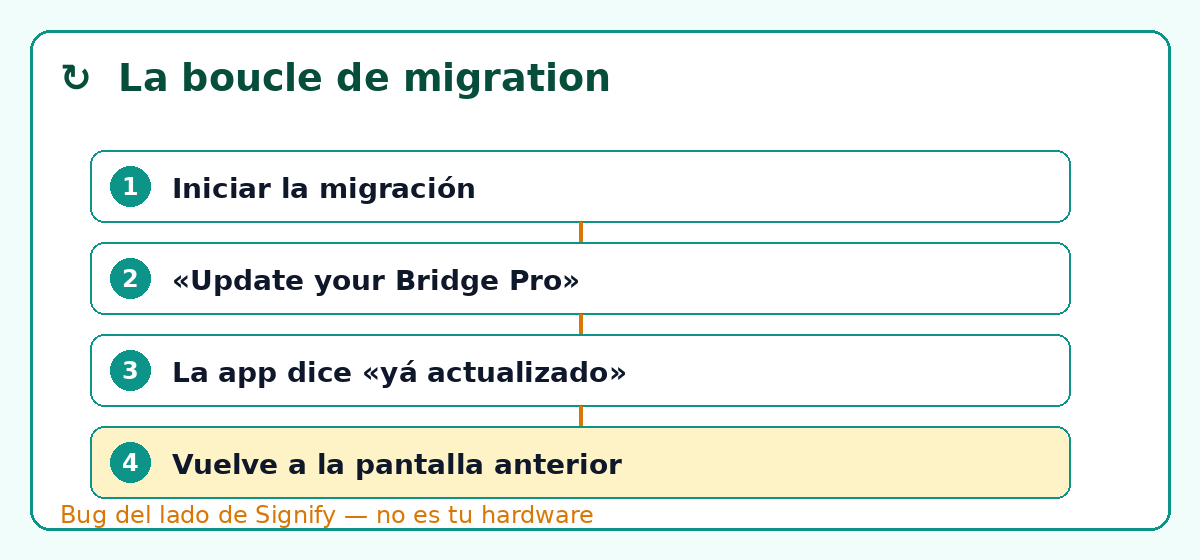 El bucle de migración del Hue Bridge Pro: iniciar la migración, «Update your Bridge Pro», la app dice «ya actualizado», vuelve a la pantalla anterior