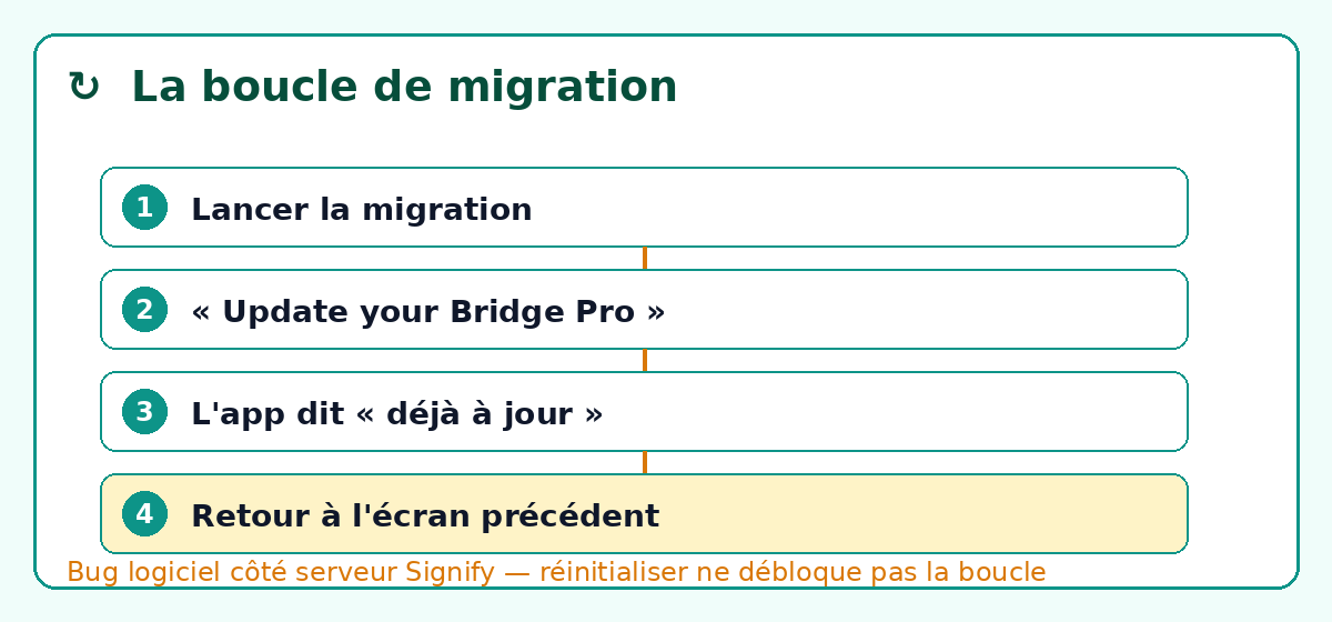 La boucle de migration Hue Bridge Pro : lancer la migration, « Update your Bridge Pro », l'app dit « déjà à jour », retour à l'écran précédent