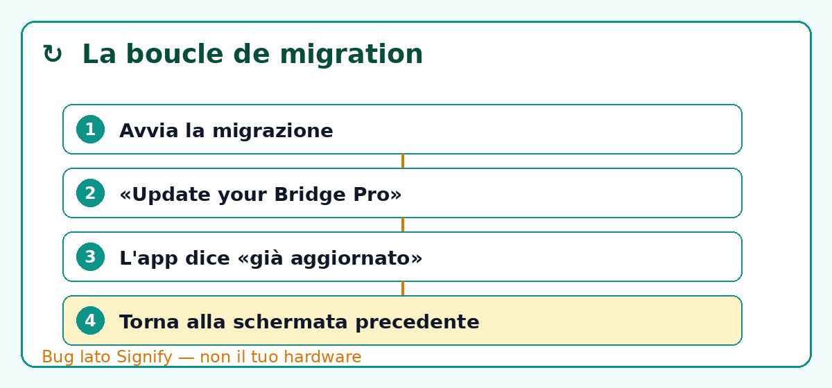 Il loop di migrazione dell'Hue Bridge Pro: avvia la migrazione, «Update your Bridge Pro», l'app dice «già aggiornato», torna alla schermata precedente